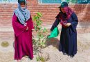 Mobilink Bank carries out nationwide plantation drive to boost safeguards against climate change