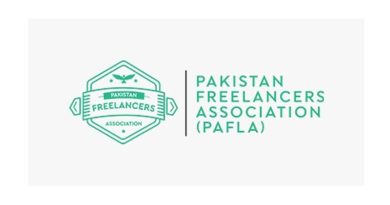 Pakistani Freelancers Earn Record $1.76 Billion in FY26