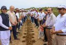 Bank Alfalah and WWF-Pakistan Mark Pakistan's Independence Day with Alfa Forest Mangrove Plantation Drive